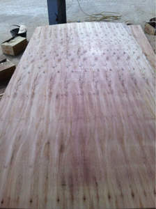 Contreplaqués commerciaux durables et polyvalents pour l'emballage, émission de formaldéhyde E2, qualité supérieure - Product Image 4