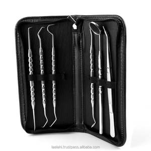 Kit d'hygiène dentaire professionnel haut de gamme, 6 pièces, instruments en acier inoxydable pour le nettoyage et le remplissage dentaire, pour dentistes - Product Image 2