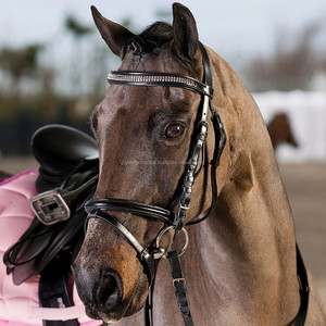 Brida de Doma de Cuero para Caballo con Patrón de Rayas Blancas Color Marrón - Product Image 4