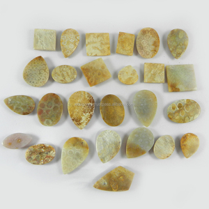ปะการังธรรมชาติ26ชิ้น,อัญมณีทรงหลวม100 Gms Cabochon แบบอิสระสำหรับทำเครื่องประดับ - Product Image 2
