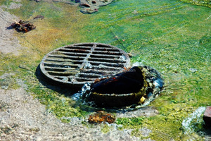 Cultivo microbiano para degradar la materia fecal en Biotoilets - Product Image 3