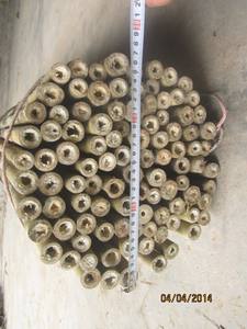 Natural <b>Bamboo</b> <b>Canes</b> - Product Image 4
