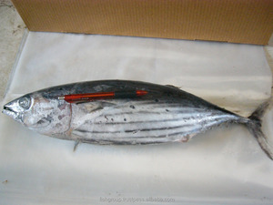 Organic Skipjack Tilapia Whole Fresh Frozen Bulk Box Mariscos secos Piel preservada Proveedor de confianza para filete de pescado Estante largo - Product Image 5