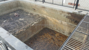 โปรไบโอติกสำหรับจาระบีดักทำความสะอาดสำหรับโรงแรม - Product Image 5