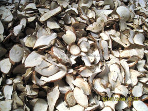 Tapioca seca/polvo de residuo de yuca/viruta/pellet para alimentación de caballos, ganado, cerdo, perro-60% grado de almidón a precio barato 2025 - Product Image 3