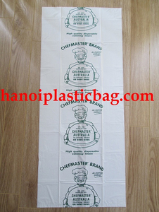 printing flat plastic bag customized made in Vietnam #2582 - Product Image 3