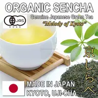 Té Sencha de alta calidad de sabor profundo té verde japonés orgánico de Japón de Kyoto Uji, fábrica-sabor fresco, hecho en Japón