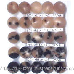 Natural Buffalo Horn Blanks <b>Buttons</b> for Garments by Crafts Galore - Product Image 3