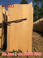 Noyau de placage en bois d'eucalyptus teinté 1270*640mm 1.7mm coupé en tranches pour la fabrication de contreplaqué à bon prix
