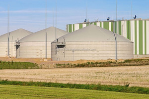 Microbios para la Degradación Anaeróbica de Residuos Orgánicos en Plantas de Biogás - Product Image 3