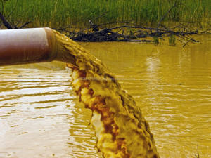 Microbes pour améliorer l'efficacité des usines de traitement des eaux usées - Product Image 3
