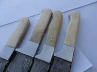 Ensemble de couteaux de chef en acier Damas écologique de haute qualité, 4 pièces, dureté 58-60HRC, manches en os, marque Rajput, pour les détaillants