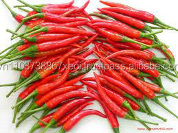 Piment frais du Vietnam / Piment / Épices - Product Image 5