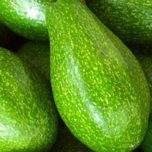 Avocat frais, gelés/gelées, ml, meilleur prix, de haute qualité - Product Image 2