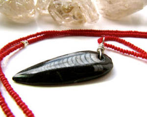 Collier en marbre naturel avec fossiles d'ammonites, dents de requin et goniatites, forme spéciale 2,3 cm - Product Image 3