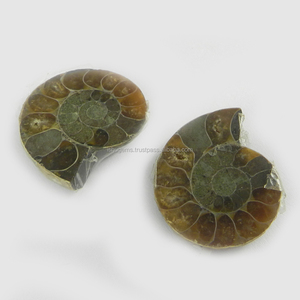 Ammonite ธรรมชาติ27X23มม. 1คู่ฟรีฟอร์ม14.80 Gms อัญมณีหลวมสำหรับทำเครื่องประดับ - Product Image 1