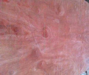 Utilisation commerciale extérieure/intérieure Contreplaqué de mélamine Produit intérieur/extérieur durable - Product Image 4