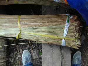 ไม้กวาดนิปะ - Product Image 1