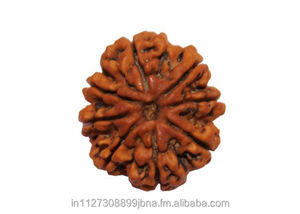 8 mukhi/Mặt rudraksha hạt lỏng bên thứ ba thẩm định trong; 10122740 Nâu - Product Image 2
