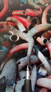 Puntas de Cuerno de Búfalo/Vaca Personalizadas al por Mayor - Material Orgánico Tallado con Tacto Real de Animal para Decoración del Hogar y Regalos Empresariales |   Artesanías - Product Image 3