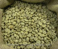 VIETNAM ROBUSTA COFFEE GREEN BEANS Haute Qualité Nouvelle Culture Vente Entière Prix Bas Bonnes Sources Top Usine-HANFIMEX 0084915196568