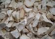 BEST <strong>CASSAVA</strong> for FARM - Product Image 2