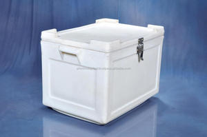 Custom Color 20L Molded Plastic Ice Chest | Insulated Cooler <b>Box</b> for Outdoor <b>Camping</b> and Beverage Cooling - Product Image 6
