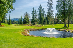 <b>Pond</b> Clarifier/ <b>Pond</b> <b>Cleaner</b>/<b>Pond</b> Bioremediation - Product Image 6