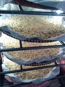 Amidon de curcuma du Vietnam en 2021 - Product Image 5