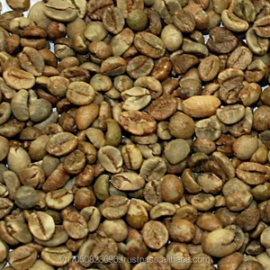 Việt Nam Robusta Arabica màu xanh lá cây rang hạt cà phê chất lượng cao cấp Màn hình 16 18