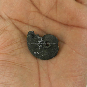 Óng ánh Nga tự nhiên fools Vàng <span class=keywords><strong>Pyrite</strong></span> <span class=keywords><strong>ammonite</strong></span> 3.0x2.2cm ưa thích không đồng đều 7.18 GMS, lỏng đá quý ig3284 - Product Image 3