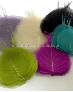 ดอกไม้และต้นไม้สำหรับตกแต่งในร่มใบไม้โพธิ์ตากแห้ง - Product Image 3