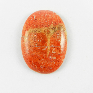 8.70 Cts <b>Natural</b> Orange/Dark Red <b>Sponge</b> Coral 16x23mm Oval Cut Loose Gemstone Premium Opal Druzy for Necklace - Product Image 1