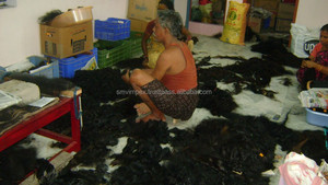 Prix d'usine brut en vrac indien de haute qualité 100% vrais cheveux humains cheveux donneur unique de la société de cheveux bruts. - Product Image 3