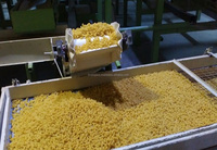 Pâtes sèches Bella Brand Double Twist 5 kg, blé dur, certifiées ISO 9001 (Spaghetti Macaroni), boîte/en vrac/sac, fabriquées en Égypte, 18 mois