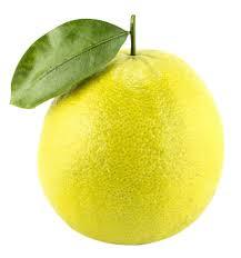 Huile essentielle de bergamote pure 100% certifiée biologique, infusée d'arbre à thé pour les soins corporels, exportateur en vrac en Inde - Product Image 5