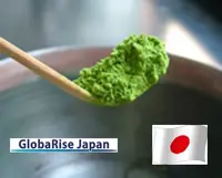Matcha organico in polvere di tè verde giapponese coltivato a guangzhou Uji giappone per grossisti