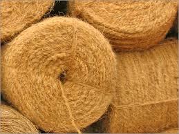 Fibra de Coco de Calidad Premium para Diseñar Colchones de Cuerda, Cepillos y Productos de Tapicería - Product Image 4