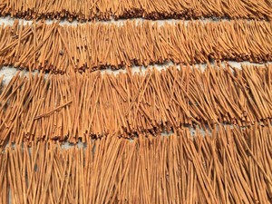 ซินนามอนคาเซียแบบแท่งขายส่ง รสชาติดี ราคาถูก เครื่องเทศคุณภาพสูง - Product Image 4
