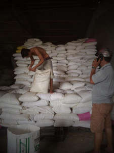 ULVA LACTUCA SECA/ALGA VERDE EN POLVO PARA ALIMENTACIÓN ANIMAL/FERTILIZANTE IDEAL PARA GANADO-ALICE - Product Image 4