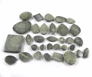 ปะการังสีดำธรรมชาติ32ชิ้น,อัญมณี Cabochon 100 Gms - Product Image 4