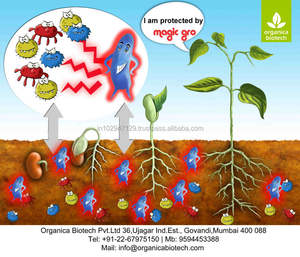 Producto Orgánico para Mejorar el Suelo para la Agricultura a Bajo Precio de Mercado - Product Image 3