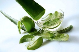 200ml Aloe Vera Boisson avec Myrtille Boisson Santé Marque Privée Vietnam - Product Image 2