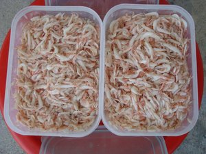 Chất lượng tốt nhất bé Khô Tôm/Khô bé tôm cho doanh số bán hàng/Louis tran + 84943481858 - Product Image 5