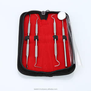 Juego de 4 Herramientas de Acero Inoxidable para Eliminar la Placa Dental, Raspadores de Sarro y Palillos Dentales, Espejo Bucal, Herramienta de Limpieza - Product Image 2