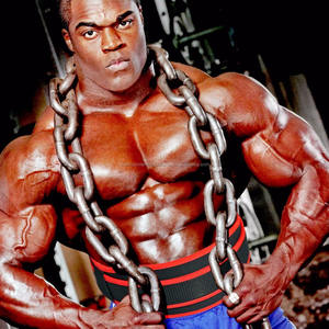 Shemax 2023เข็มขัดพยุงหลังส่วนล่างบรรเทาอาการปวดในยิมยกน้ำหนัก - Product Image 2