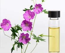 10ml Aceite esencial de geranio orgánico de alta calidad 100% Aceite vegetal natural Tipo puro - Product Image 6