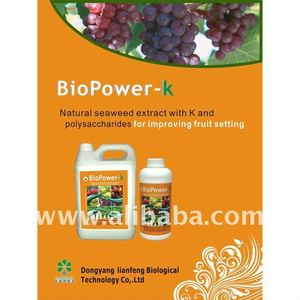 100% ที่ละลาย<span class=keywords><strong>น้ำ</strong></span>ได้หมัก Sargassum <span class=keywords><strong>ปุ๋ย</strong></span>สารประกอบสาหร่ายกับ P K,<span class=keywords><strong>ปุ๋ย</strong></span>อินทรีย์ชีวภาพจำนวนมาก - Product Image 1