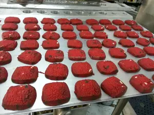 תוצרת מלזיה אוטומטי שקדים שוקולד שבב עוגיות ביסקוויט ייצור ביצוע Wirecut מפקיד מכונה