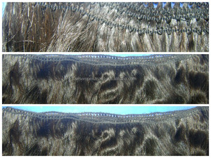 Cheveux humains bruts. Cheveux indiens non transformés 100% purs distributeurs de tissage de cheveux en gros ondulés naturels indiens remy - Product Image 5